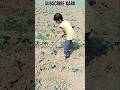 🥺सपने वही सच होते हैं जो खेतों में पसीने से सींचे जाते हैं👑 #shorts #ytshorts #farming  payelkuiry13