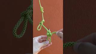 3 Useful Knot/ Alpine Butterfly/ Directional Figure 8/ Perfection Loop.