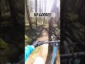 I love this trail!