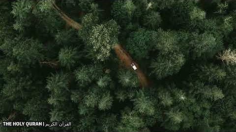 سورة الأنفال #تلاوة #القرآن_الكريم #قرآن #القرآن #قران #quran