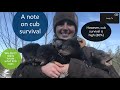 158 No country for old bears 20240403