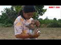 Orphan Baby, Monkey Luna Take Care And Hugging Baby Nina Follow Mother At Farm Field