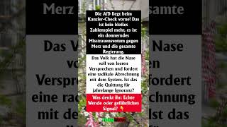 Afd-Schock Das Ende Für Merz?