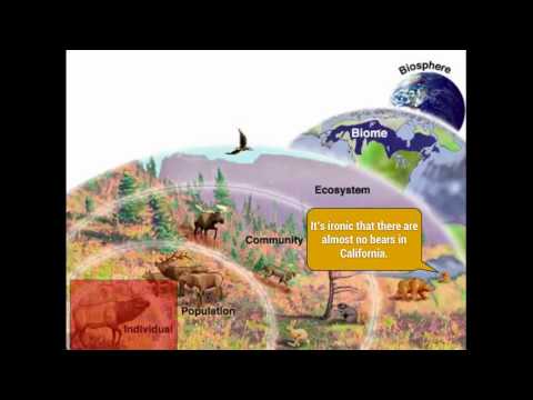 Video: What Is The Biosphere In Modern Ecology