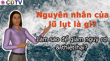 nguyên nhân của lũ lụt là gì? cách giảm nguy cơ và thiệt hại? CDTV