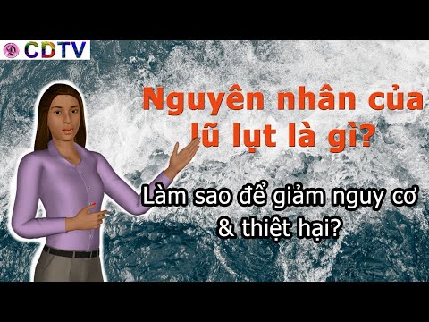 Video: Lũ Lụt Là Gì