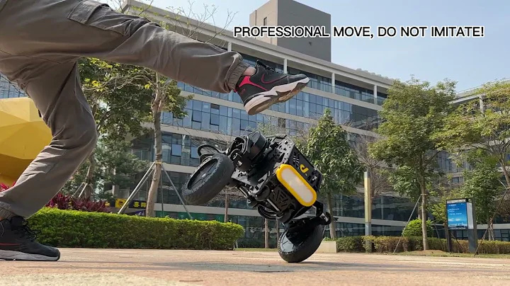 Self-Balancing Robot, professional move, do not imitate!