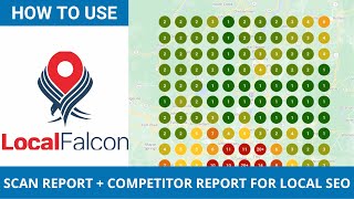 How to Use Local Falcon Scan Repot and Competitor Report for Local SEO