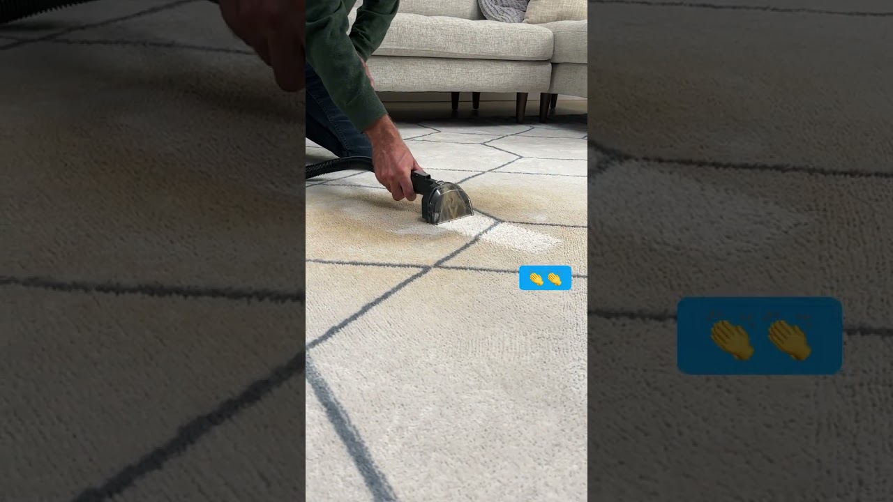 Just good solid steam cleaning from the Little Green® HydroSteam® Pet machine.