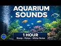🐠 Aquarium Sounds for Sleeping (1 Hour) | Fish Tank Water Ambience