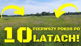 Po 10 latach wracam na łąkę. Nowa maszyna na gospodarstwie. Sianokosy 2024