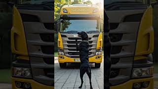 The Silent Watcher Red Scania Truck And The White Husky In Morning Mist Cinematic Norway Short