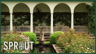 Small Garden, Big Dreams - Transforming Spaces on a Budget