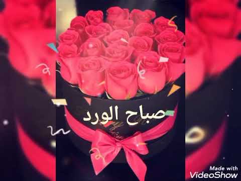 صباح الخير غمض عينيك وامشي بخفة ودلع الدنيا هي الشابه وأنت الجدع