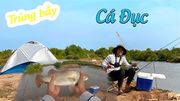 Câu Cá Tráp Cá Chẽm Đầm Nước Mặn | Bình Đại Bến Tre