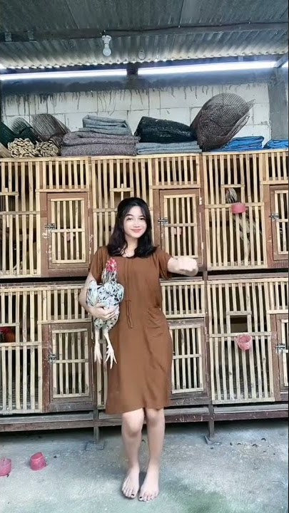 botoh ayam cantik, ig nonnindah3