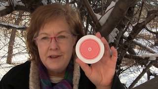 SIGNS OF MESSIAH AT THE BLOOD MOON! TRUMP! & MESSIAH TO APPEAR AT PURIM BY KIMBERLY!