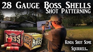 28 Gauge Shotgun Patterning with BOSS Shells +Squirrel Hunt Gone Wrong?!?