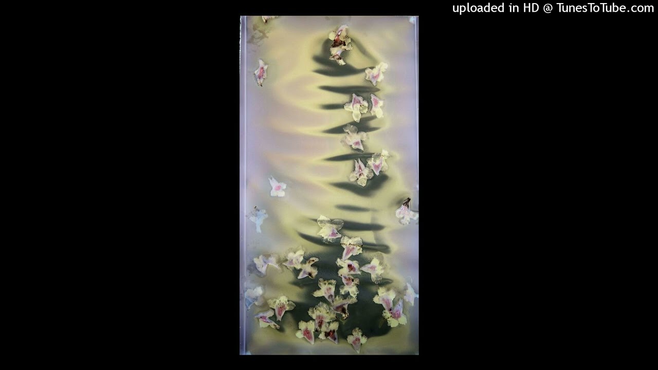 ༒ illka ༒ darkspin ༒ type beat *comeback*