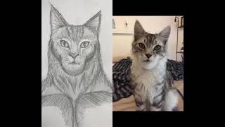 Chad Face Meme Dogs Vs Cats