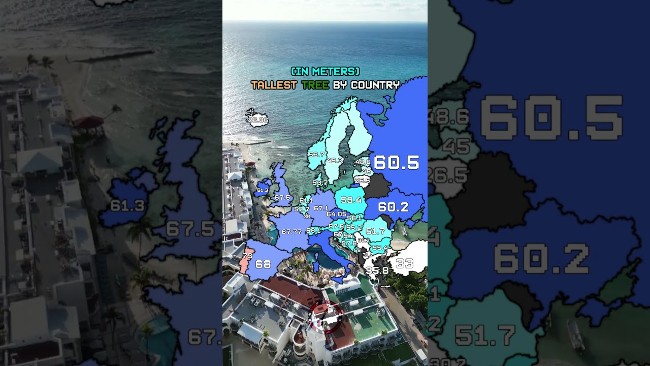 Highest tree measured in each European country