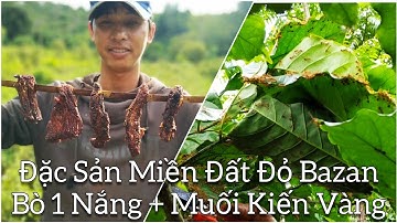 Đặc Sản Bò Một Nắng, Chấm Muối Kiến Vàng - Khẩu Vị Thật Khó Tả - Món Ngon Dân Dã | ĐẤT ĐỎ TV