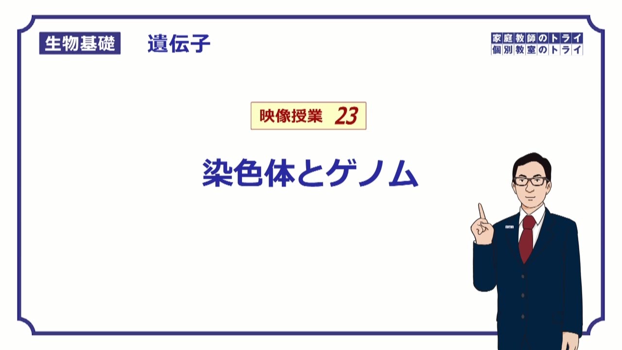 【生物基礎】　遺伝子23　染色体とゲノム　（１６分）