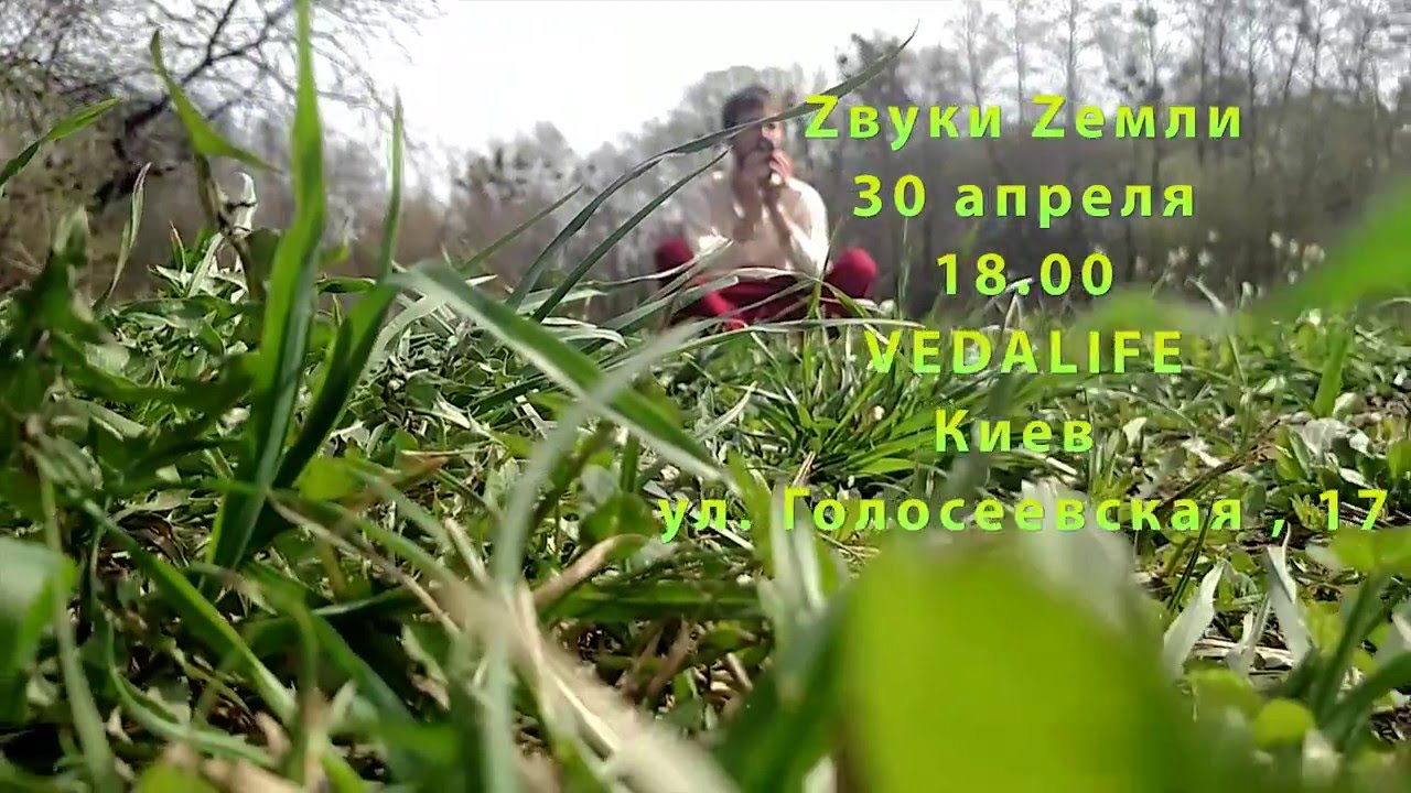 Zвуки Zемли Приглашение 30.04 Vedalife