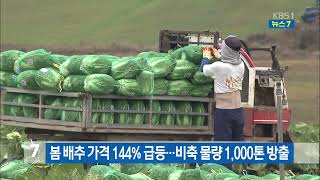 봄 배추 가격 144  급등…비축 물량 1,000톤 방출   KBS 뉴스