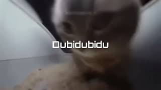 Otozora Rinly V3Dubidubiduカバー