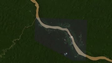 Gold Mining and Violence in the Amazon Rainforest (English)