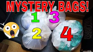 4 MYSTERY BAGS FOUND!!! Gamestop Dumpster Dive Night #857