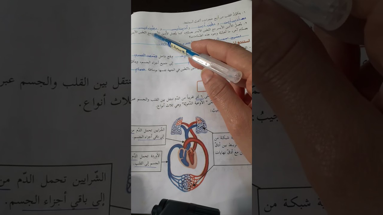 حل أسئلة وشرح درس جهاز الدوران علوم الصف السادس