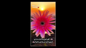 حالات واتس اب آيات قرانية/مقاطع دينية انستغرام قصيرة ♥️ستوريات انستا#القران الكريم
