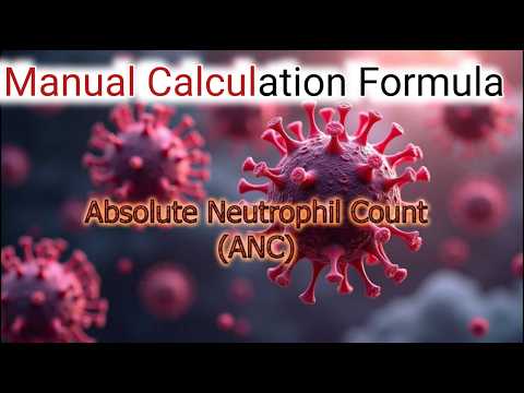 Absolute neutrophil count formula