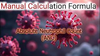 Absolute neutrophil count formula