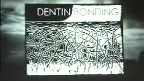 Lecture 1 by Dr. Pascal Magne