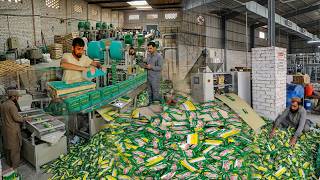 Unbelievable Factory Baar Soap Making Process | Most Satisfying and Mind-Blowing maga process