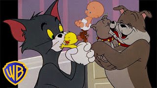 Tom I Jerry Po Polsku 🇵🇱 | Rodzinny Czas  | @Wbkidsinternational​