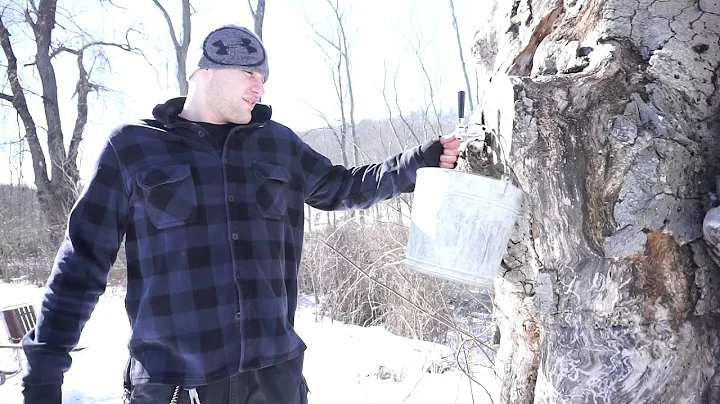 How to make Maple Syrup Beer with Trailer Bart