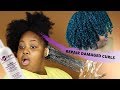 FIX YOUR DAMAGED NATURAL HAIR  | ApHogee Protein Treatment for Curl Definition + Length Retention