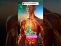 The Last Mystery: Can Science Map the Human Soul by 2050? #shorts
