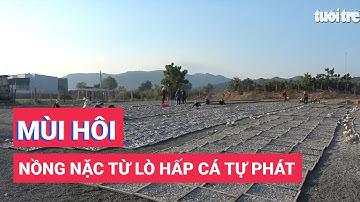 Mất ăn mất ngủ vì mùi hôi thối nồng nặc từ các lò hấp cá