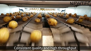 Newtec Optical Sorting Machine, model Celox-P-UHD