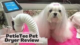 PetieTec Pet Dryer Review by Daily Little Bits 261 views 1 year ago 3 minutes, 44 seconds