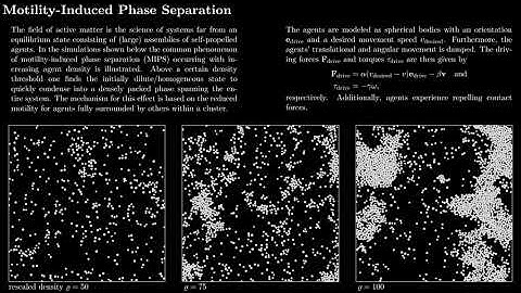 Active Matter - Motility-Induced Phase Separation
