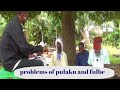 Festival Fulbe Africa 