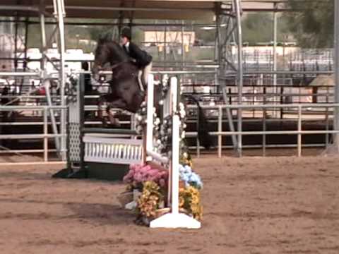 Erika Moore Equitation Over Fences 3 on Checkers (...