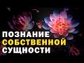 Что такое Атман? Первоисточник адвайта-веданты. Шри Шанкарачарья