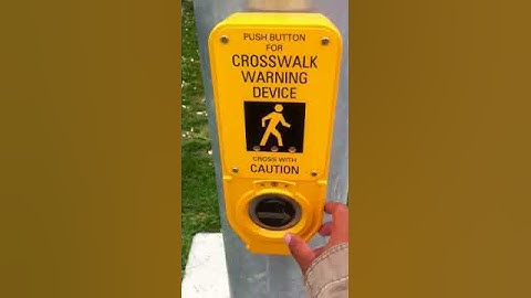 World's Dumbest button
